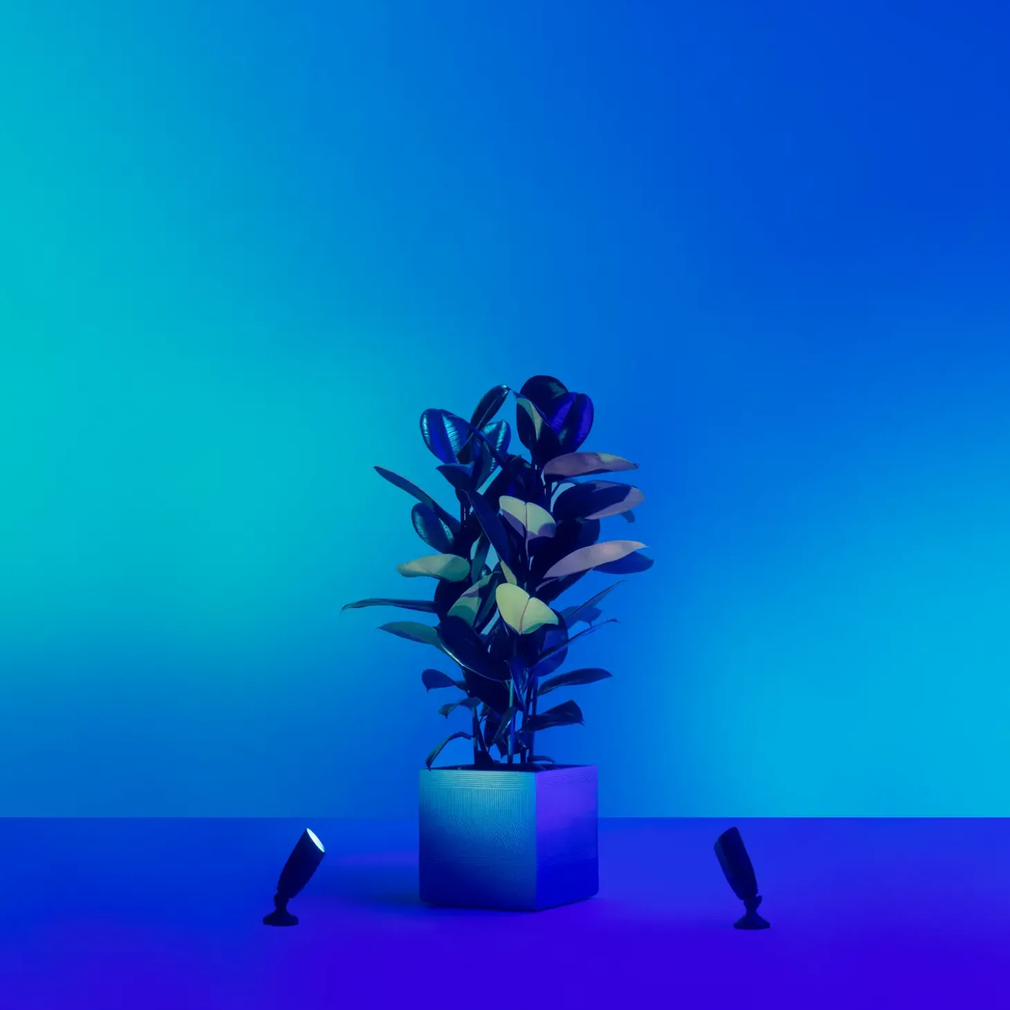 Philips WiZ udendørs bedlamper spot startsæt 10W sort