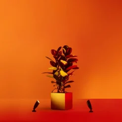 Philips WiZ udendørs bedlamper spot startsæt 10W sort