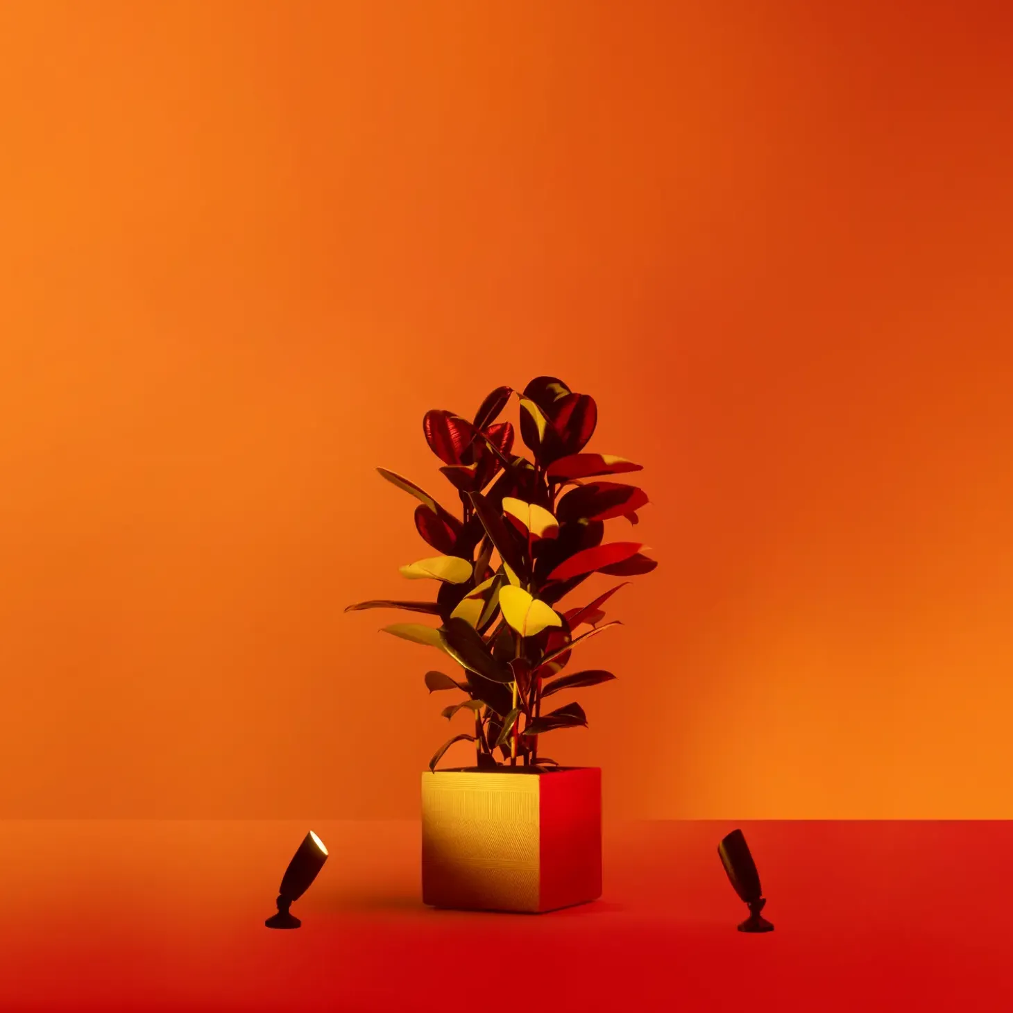 Philips WiZ udendørs bedlamper spot startsæt 10W sort