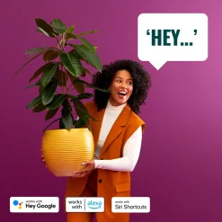 Philips WiZ udendørs lyskæde 12W 12 pærer 15 m