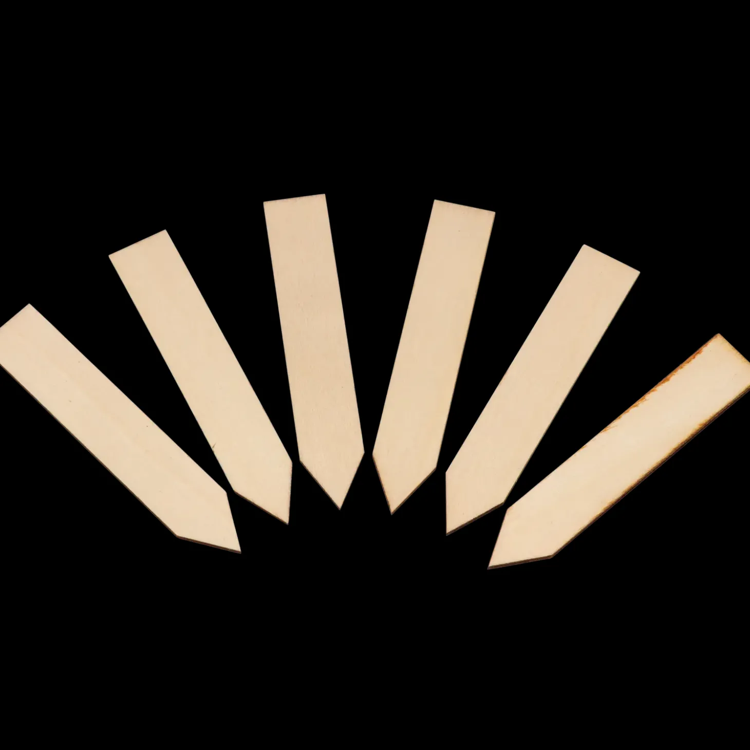 Plant labels træ,10 cm