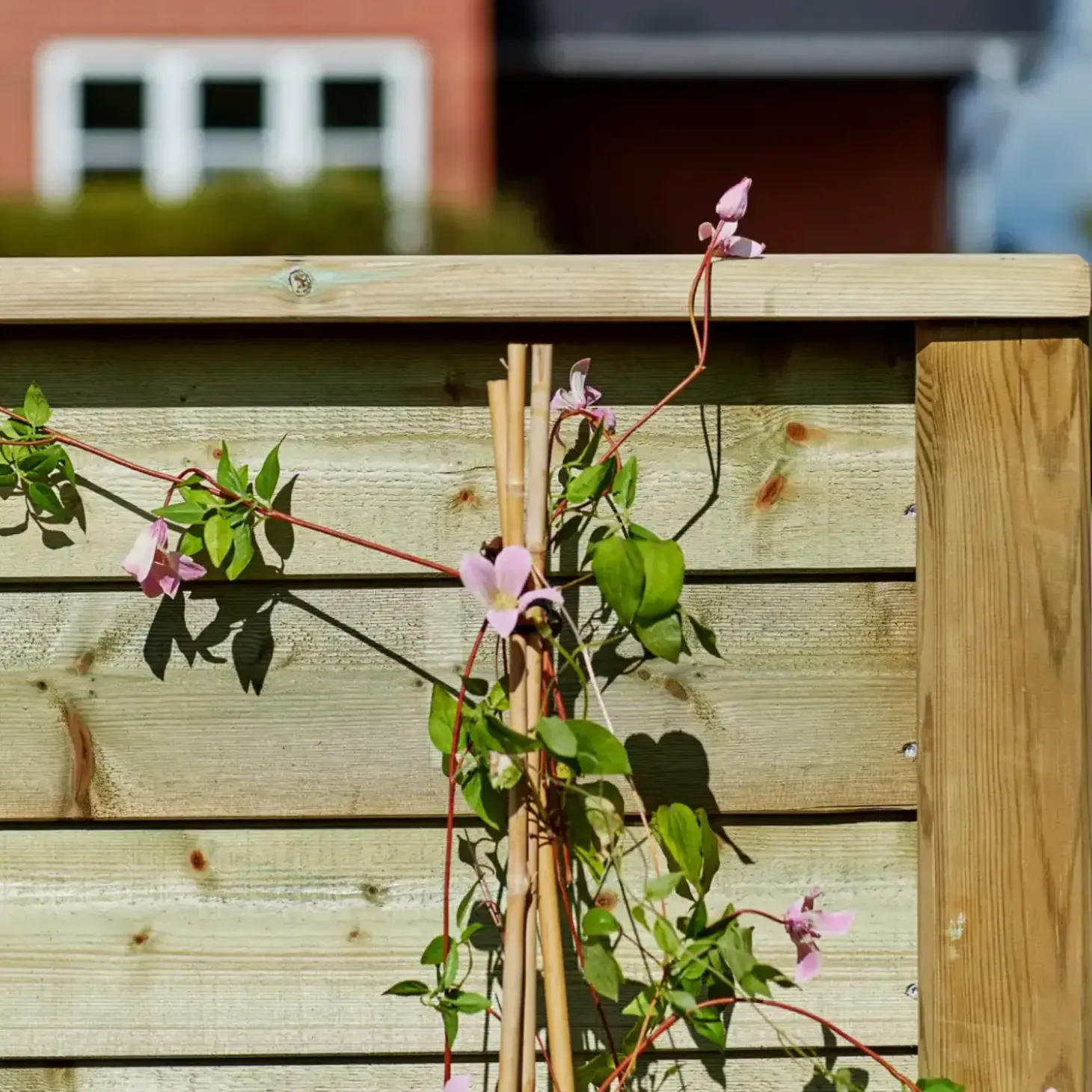 PLUS Klink Profilhegn 174×129 cm