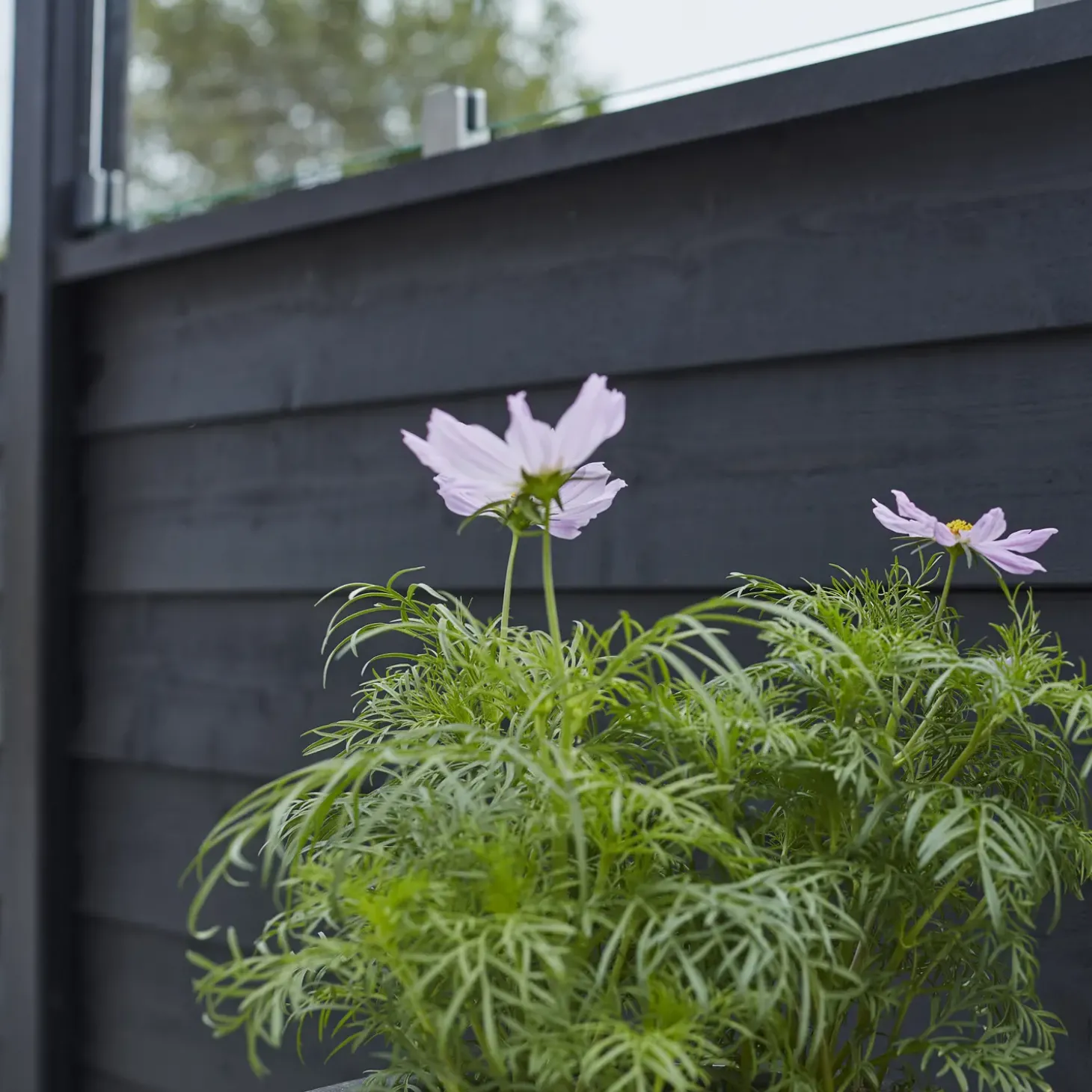 Plus Klink profilhegn m/glas 174x125 cm sort