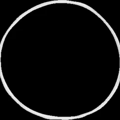 Purus o-ring t/vandlås
