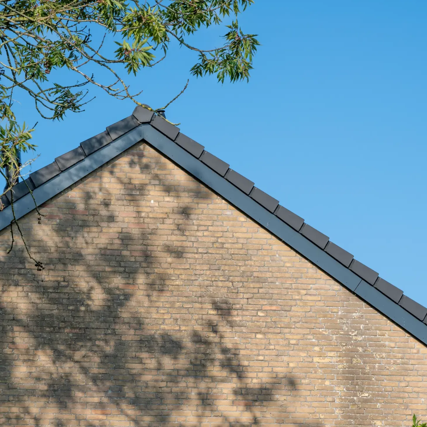 Rockpanel plader UNI 8x1200x2500 mm grafitsort