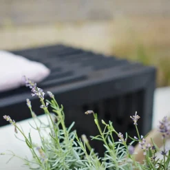 Rustik Trallebænk Design sort 138x49x45 cm