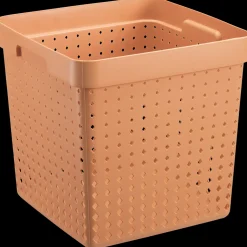 Seoul basket melon S