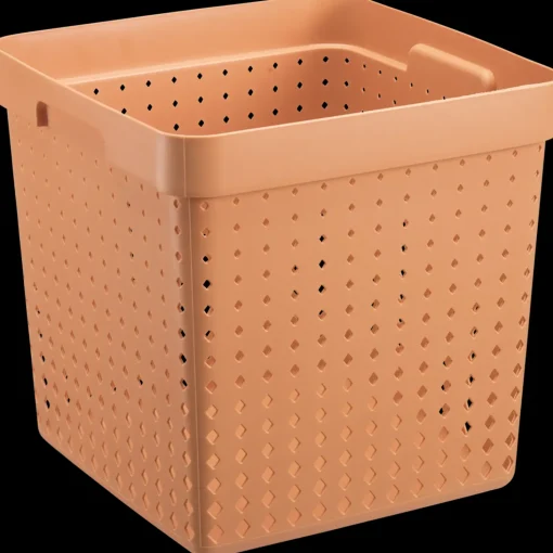 Seoul basket melon S