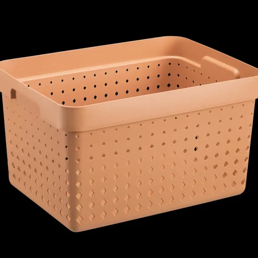 Seoul basket melon S