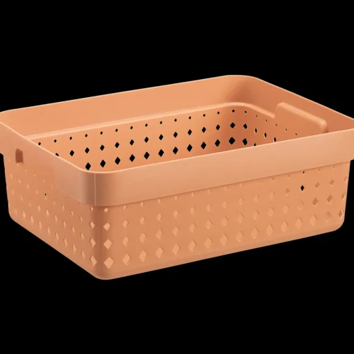 Seoul basket melon S