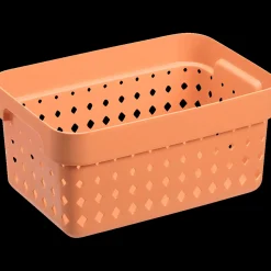 Seoul basket melon S