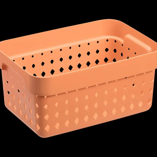 Seoul basket melon S