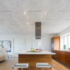 Troldtekt® akustikplade ultrafin hvid 25x600x1200 mm