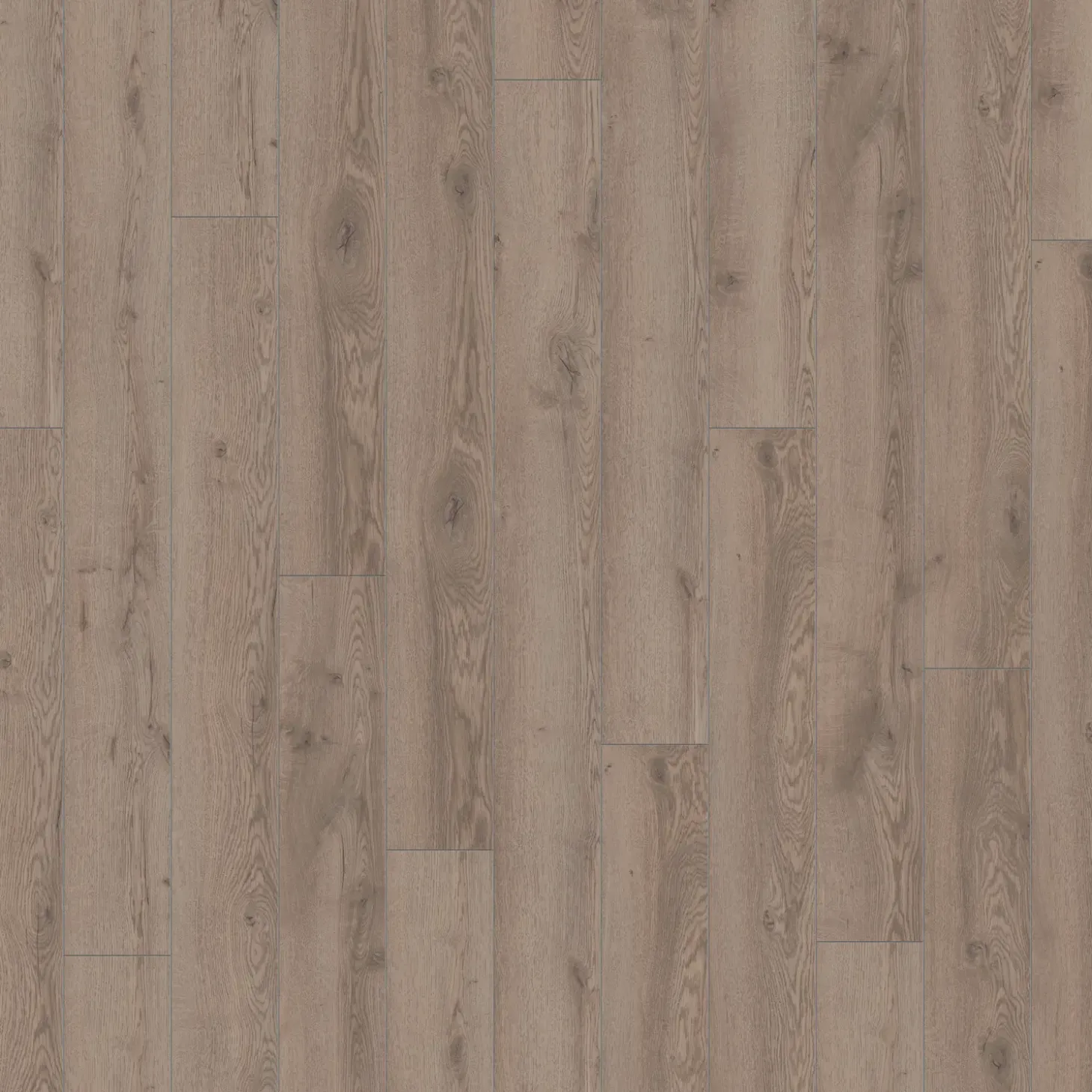 Wallmann Mammut laminatgulv grå mountain eg 188x1845x12 mm