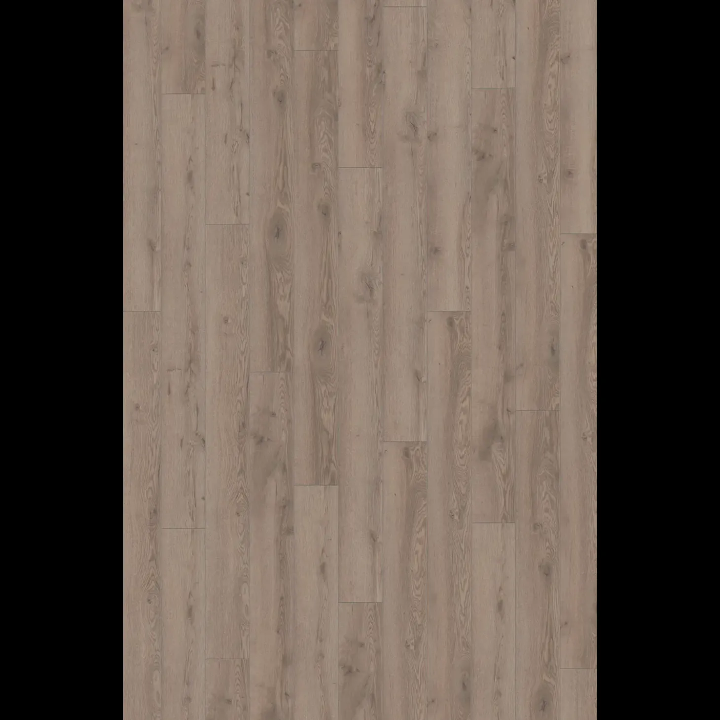 Wallmann Mammut laminatgulv grå mountain eg 188x1845x12 mm