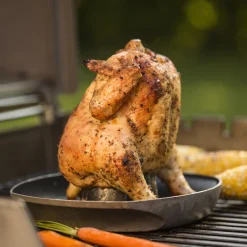 Weber Deluxe stegholder