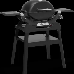 Weber® Q1200N gasgrill med stander