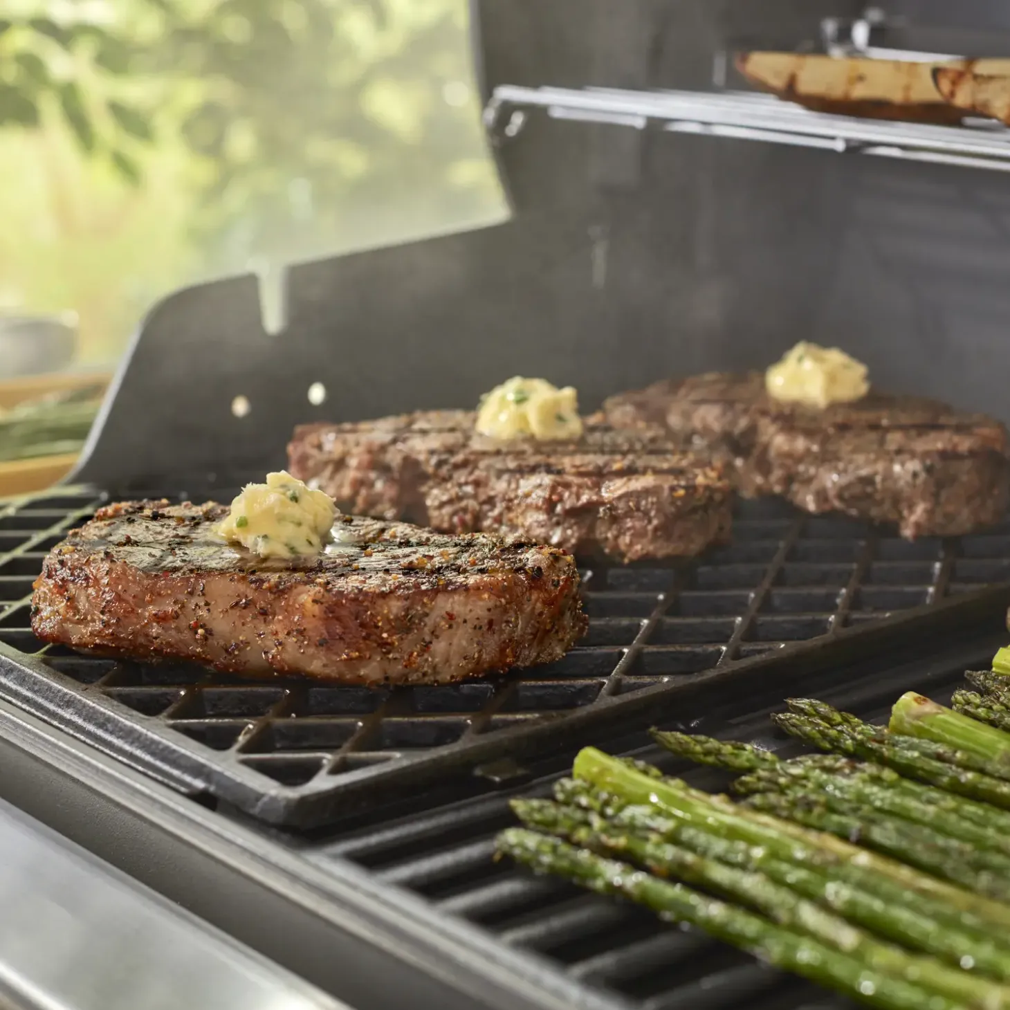 Weber stegerist til Genesis II 400 og 600-serien