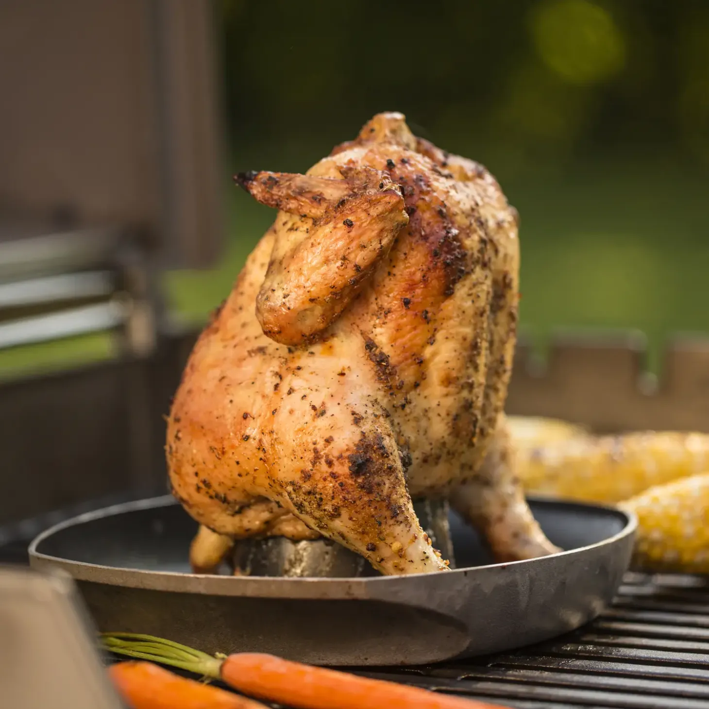 Weber stegt flæsk holder