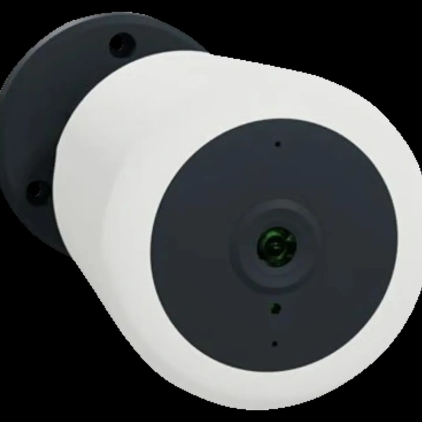 Wiser IP kamera udendørs